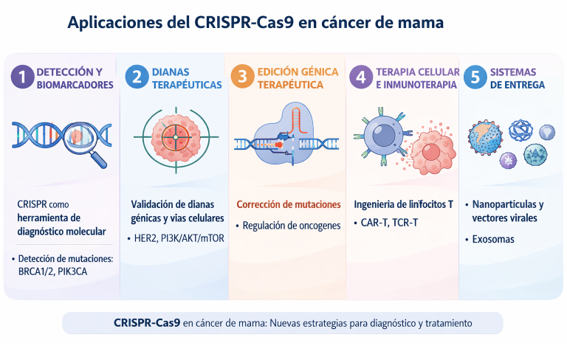 Aplicaciones del CRISPR-Cas9 en cáncer de mama. Figura generada con asistencia de inteligencia artificial (Chat GPT), a partir de instrucciones dadas por los autores.